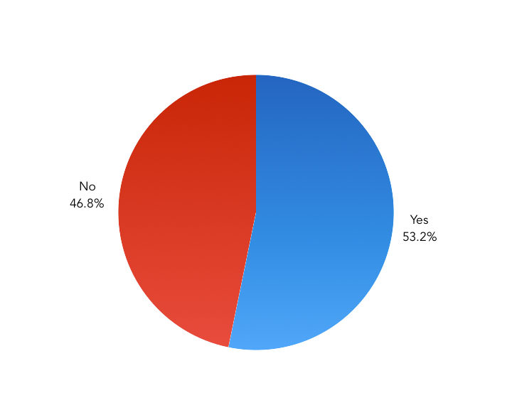 Do you use a tool to lint your CSS? – Pie Chart showing the results